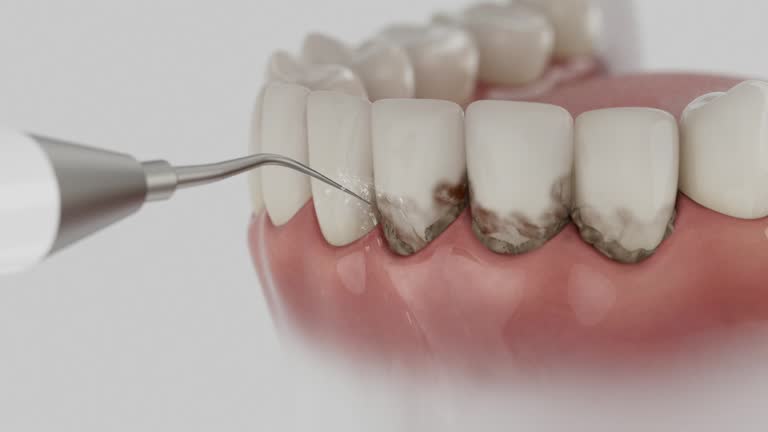 Reliable Dental contractor in Alexandria city County, VA by Dentist Open Now